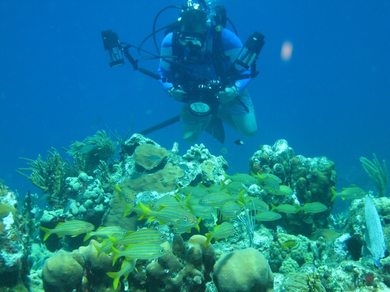 scuba diving in St. Thomas St. John United States Virgin Islands